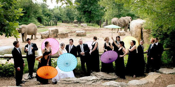 Dublin Zoo wedding