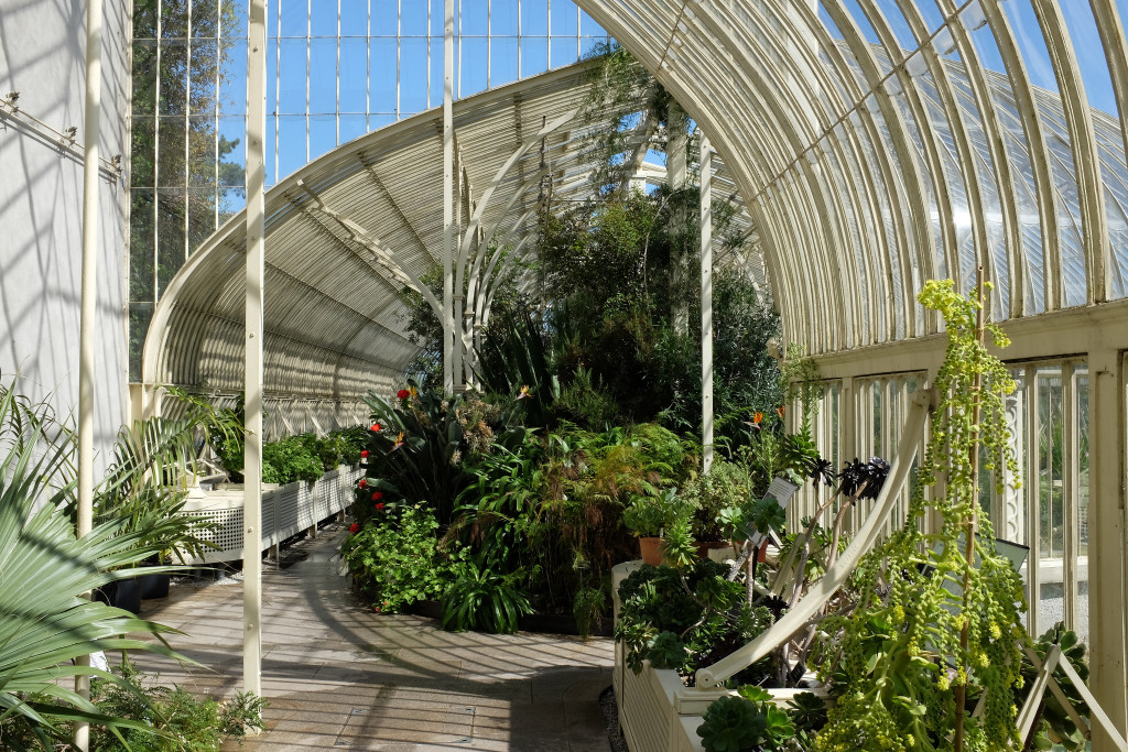 National Botanic Gardens of Dublin (interior)